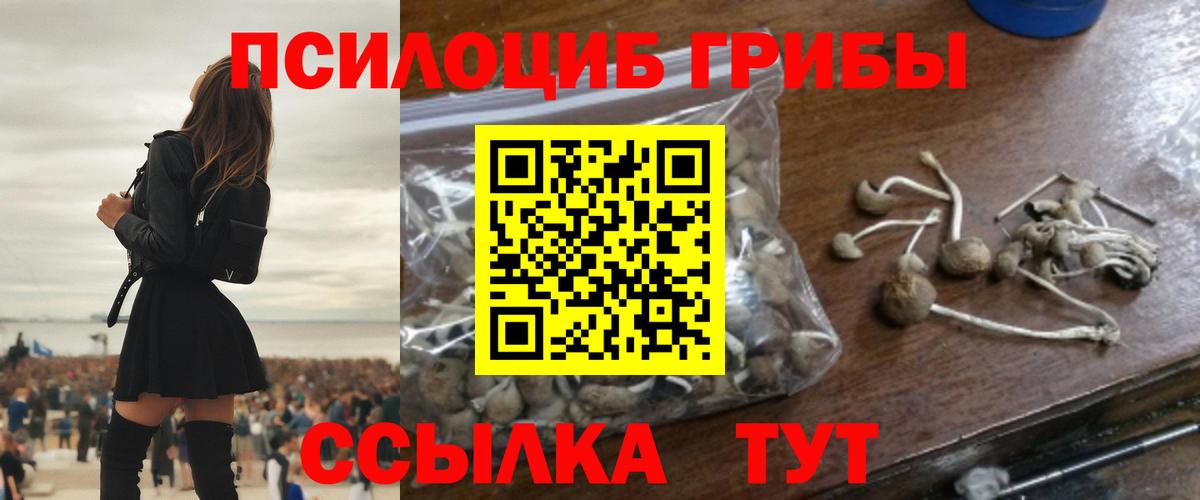 Псилоцибиновые грибы MAGIC MUSHROOMS Кудрово