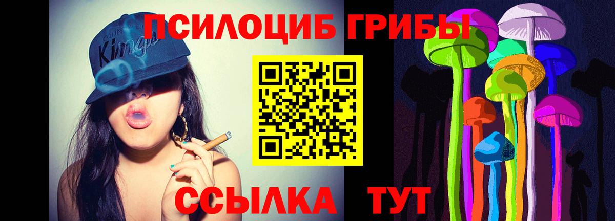 Кудрово  Галлюциногенные грибы ЛСД  Вход с VPN 